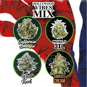 Delirium Seeds Mix Hollywood Vibe Auto X14