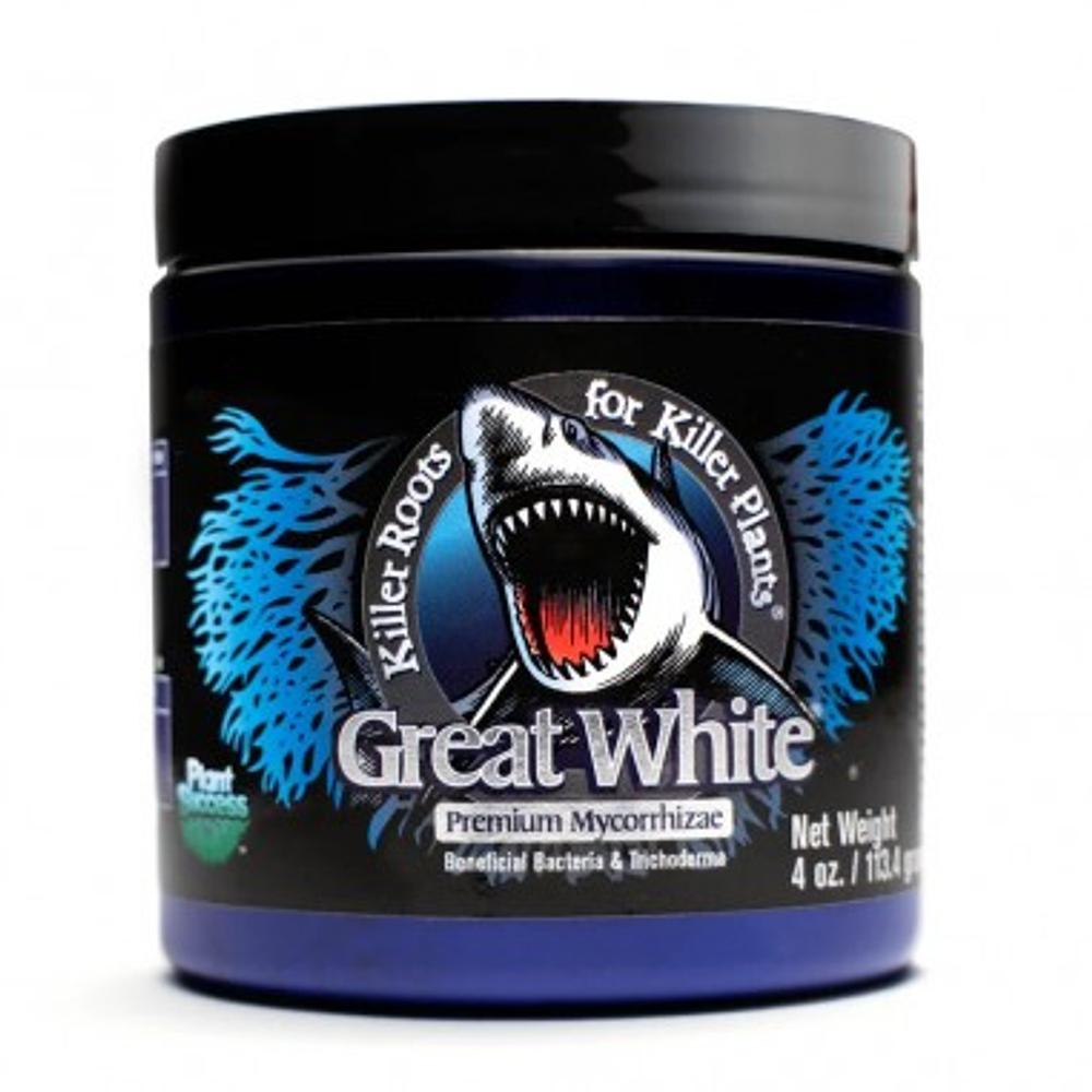 Great White Premium 113Gr