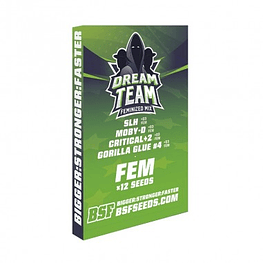 DREAM TEAM MIX FEM X12-BSF