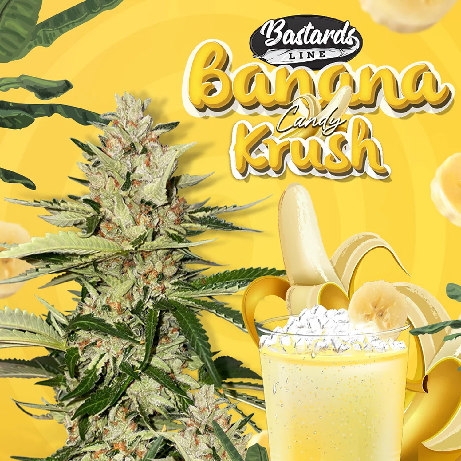  Banana Candy Krush (x2) Th.seeds