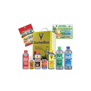 STARTER BOX SUELO HESI