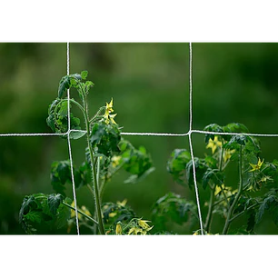 Malla De Cultivo Scrog Trellis Tech 1.5x4.5 MT
