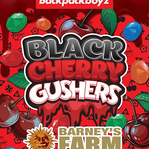 Black Cherry Gushers Feminizada x3 Barney’s Farm – Cerezosa, potente y ultra productiva 🍒🔥