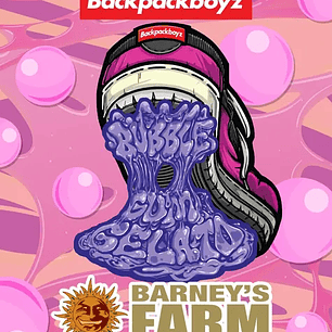 Bubblegum Gelato Feminizada x3 Barney’s Farm – Dulzor cremoso y potencia equilibrada 🍬🔥