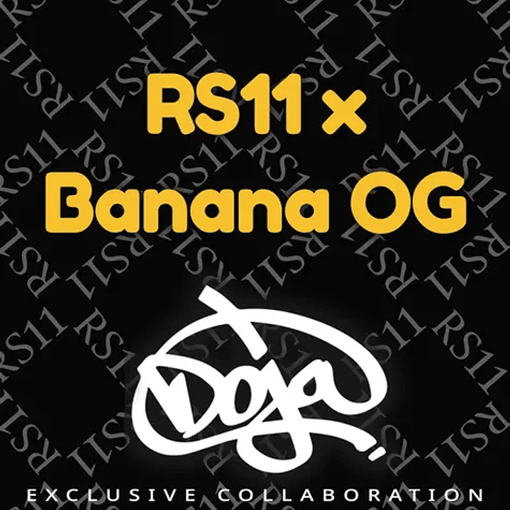 RS11 x Banana OG Feminizada x3 Barney’s Farm x DOJA Exclusive – Cítrica, cremosa y 70% índica 🍋🍌🔥 1