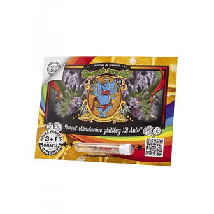 🍊 Sweet Mandarine Zkittlez XL Auto 3+1 Sweet Seeds – cítrica, potente y XL