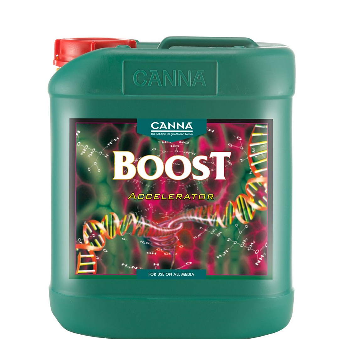 CANNA Boost – floración explosiva, metabolismo activo y sabor superior 🍓⚡ 3