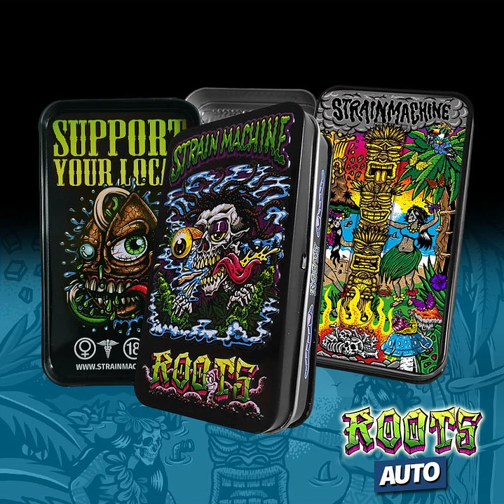 🍌 Auto Banana Beach – Semillas Autoflorecientes Strain Machine 1