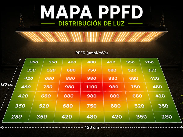 📊 ¿Cómo leer un mapa de PPFD? Aprende a interpretar la distribución de luz de un panel LED