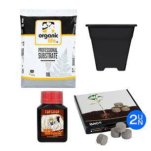 🌱 Kit Exterior Fácil 1 | Maceta, Sustrato y Nutrientes