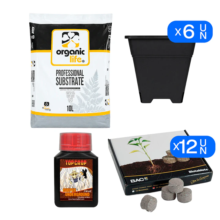 🌱 Kit Exterior Fácil 3 | Cultivo para 6 Plantas 1