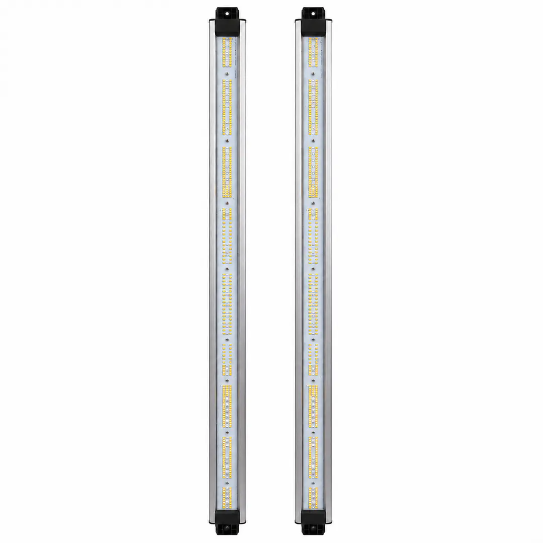 Vega Boost Delight – Barras Espectrales para Quantum Lite 720W 2