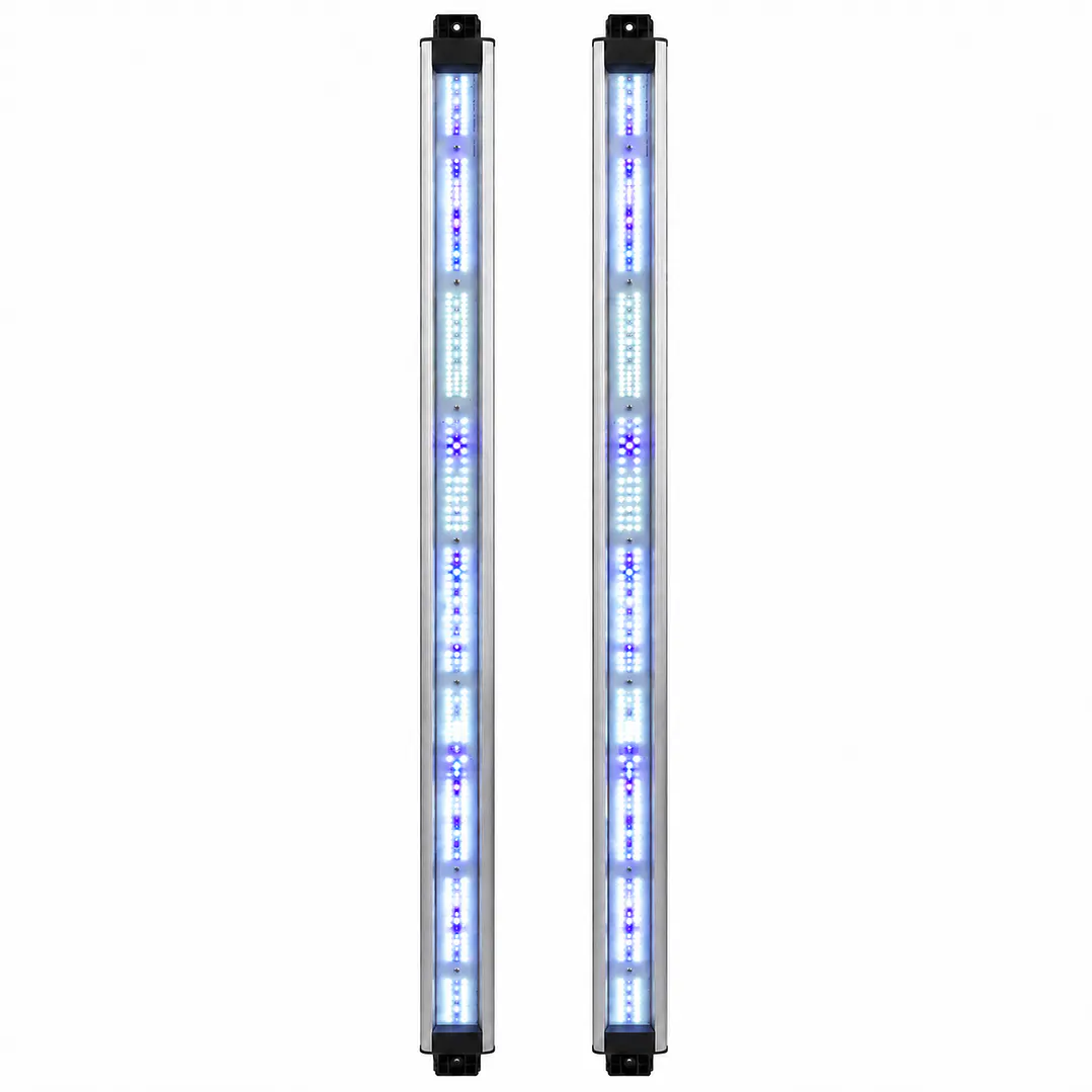 Vega Boost Delight – Barras Espectrales para Quantum Lite 720W 1