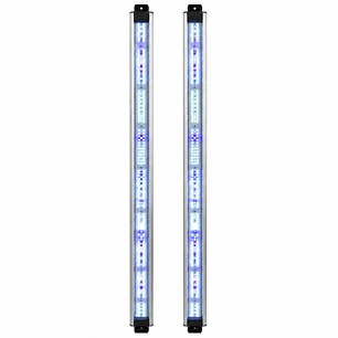 Vega Boost Delight – Barras Espectrales para Quantum Lite 720W