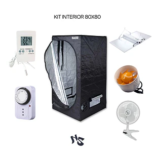 Kit Indoor 80×80 Nanolux RG320 | LED 320 W + Carpa