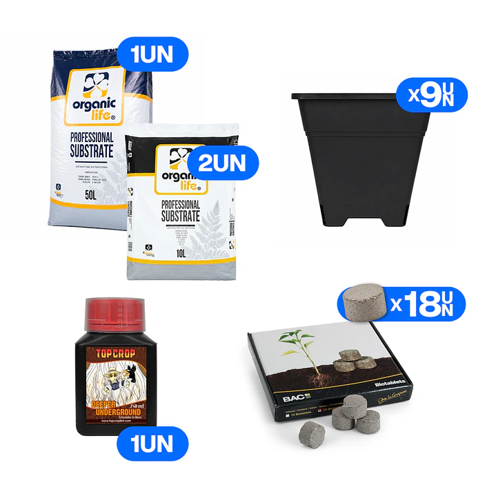 🌱 Kit Exterior Fácil 4 | Kit de Cultivo para 9 Plantas 1