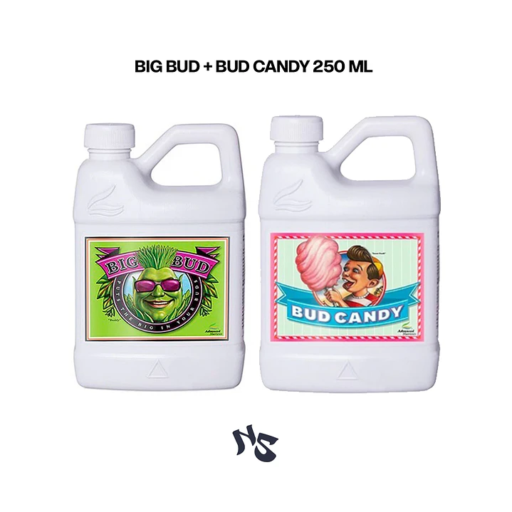 Pack Big Bud + Bud Candy 250 ml | Nostress Grow 1