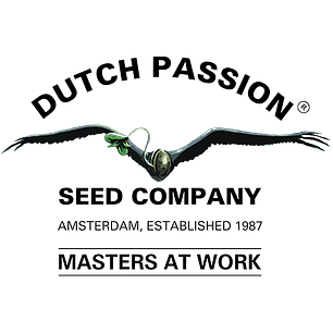 Nostress Growshop | Semillas, LED y parafernalia