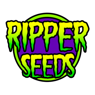 Nostress Growshop | Semillas, LED y parafernalia