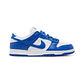 Dunk Low Retro 