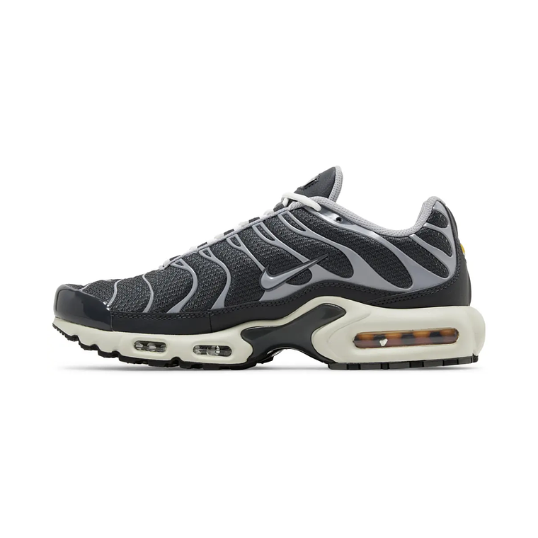 Air Max TN Plus SE 