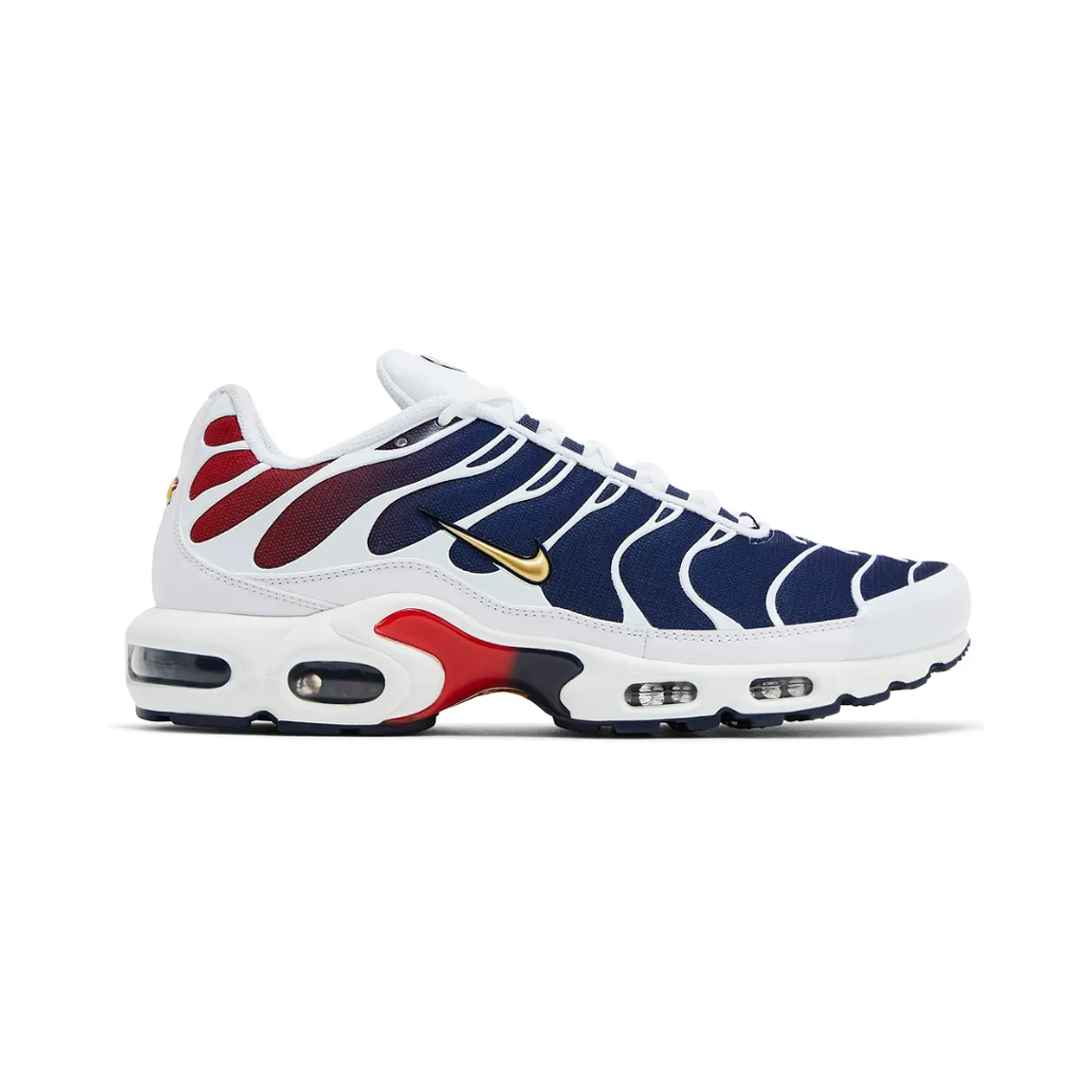 Paris Saint Germain (PSG) x Air Max TN Plus 