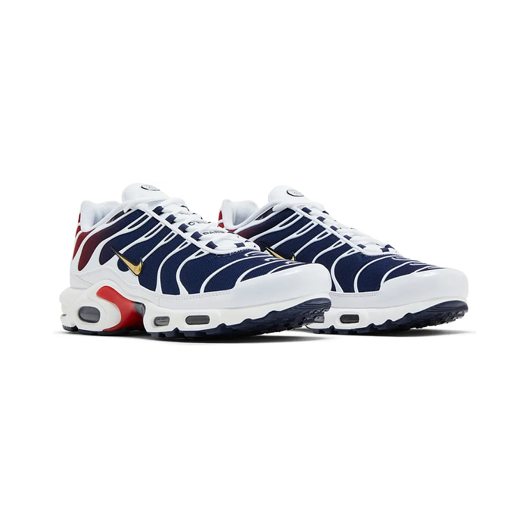 Paris Saint Germain (PSG) x Air Max TN Plus 