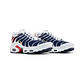 Paris Saint Germain (PSG) x Air Max TN Plus 