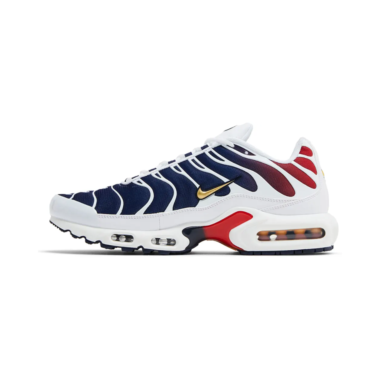 Paris Saint Germain (PSG) x Air Max TN Plus 