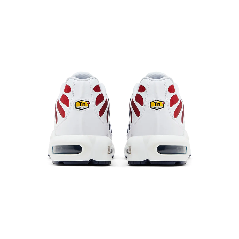 Paris Saint Germain (PSG) x Air Max TN Plus 