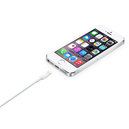 Cable Lightning a USB Apple 2 mts | Original