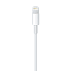 Cable Lightning a USB Apple 2 mts | Original