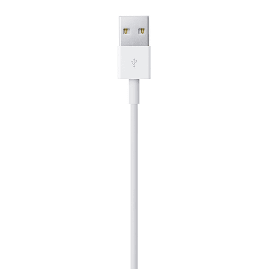 Cable Lightning a USB Apple 2 mts | Original