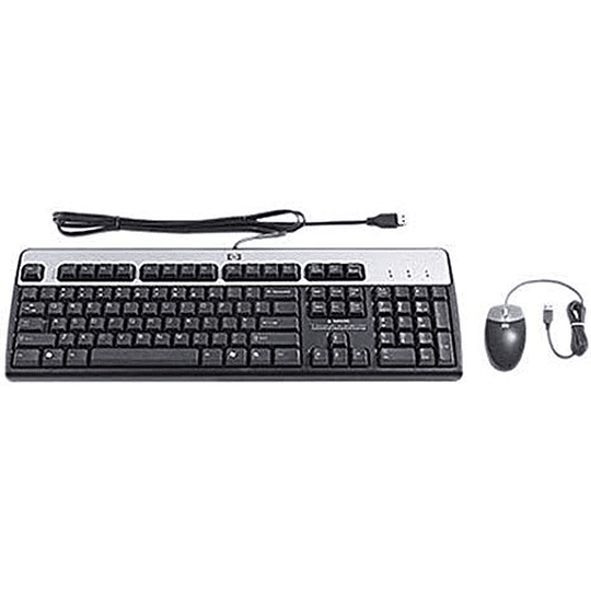 Kit Teclado y Mouse HP Enterprise USB US (631341-B21)