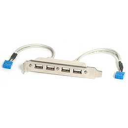 Bracket USB 4 Puertos Placa Startech
