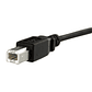 Cable USB-B Macho a USB-B Hembra Startech, Largo 0.3m, Negro - Miniatura 3