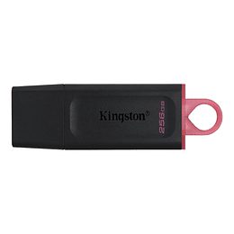 Pendrive Kingston USB Flash Drive, 256GB, USB-C 3.2 Gen 1, Exodia Negro Rosa