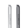 Apple iPad 10.2“ 9na Generación, Wi-Fi, Almacenamiento 256GB, Space Gray