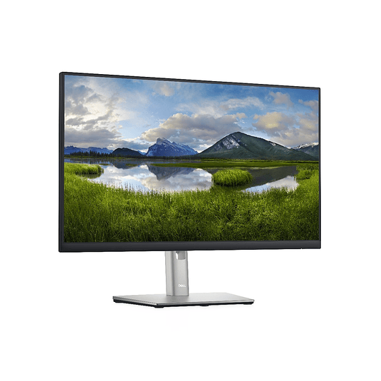 Monitor 23.8“ Dell P2422H (1920 x 1080) IPS
