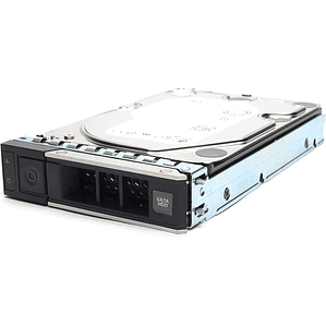 Disco Duro DELL 401-ABHY de 12TB (Formato 3.5“, Sata, 7.200rpm)