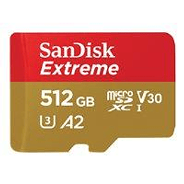 Tarjeta de memoria flash - 512 GB - A2 / Video Class V30 / UHS-I U3 / Class10