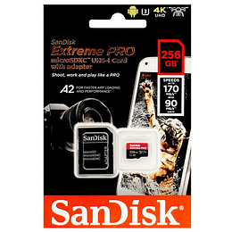 Tarjeta de memoria flash - 256 GB - A2 / Video Class V30 / UHS-I U3 / Class10 