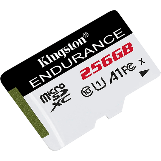 Tarjeta de memoria flash - 256 GB - A1 / UHS-I U1 / Class10 - microSDXC UHS-I U1