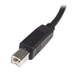 Cable USB de 3m para Impresora - 1x USB A Macho - 1x USB B Macho - Adaptador Negro - Miniatura 2