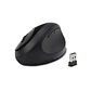 Mouse Ergonómico Kensington K75404WW Pro Fit Inalámbrico Negro - Miniatura 3
