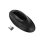 Mouse Ergonómico Kensington K75404WW Pro Fit Inalámbrico Negro - Miniatura 7