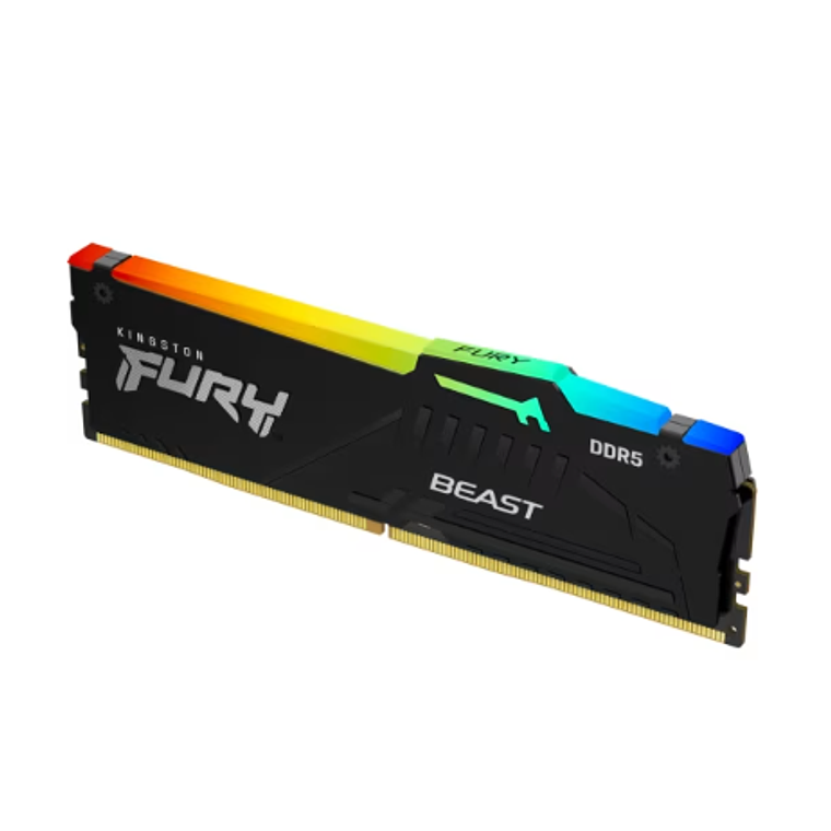 Memoria Ram 8GB DDR5 5600Mhz CL36 Dimm FURY Beast RGB EXPO 2