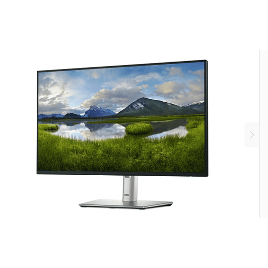 Monitor Dell - 23.8“ - P2425H HDMI/DP/USB- Ajustable- 3Y