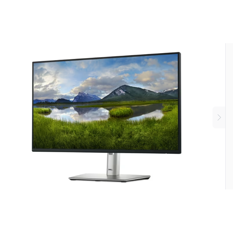 Monitor 23.8“ Dell P2425H Full HD (1920x1080, 8ms, 100Hz) HDMI/DP/USB 2