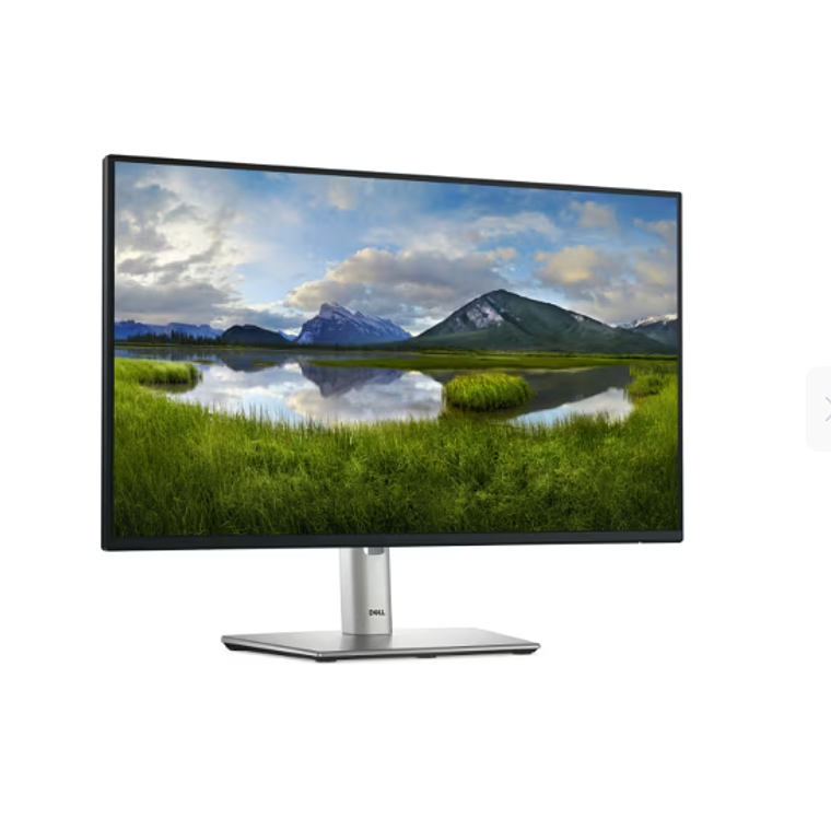 Monitor 23.8“ Dell P2425H Full HD (1920x1080, 8ms, 100Hz) HDMI/DP/USB 3